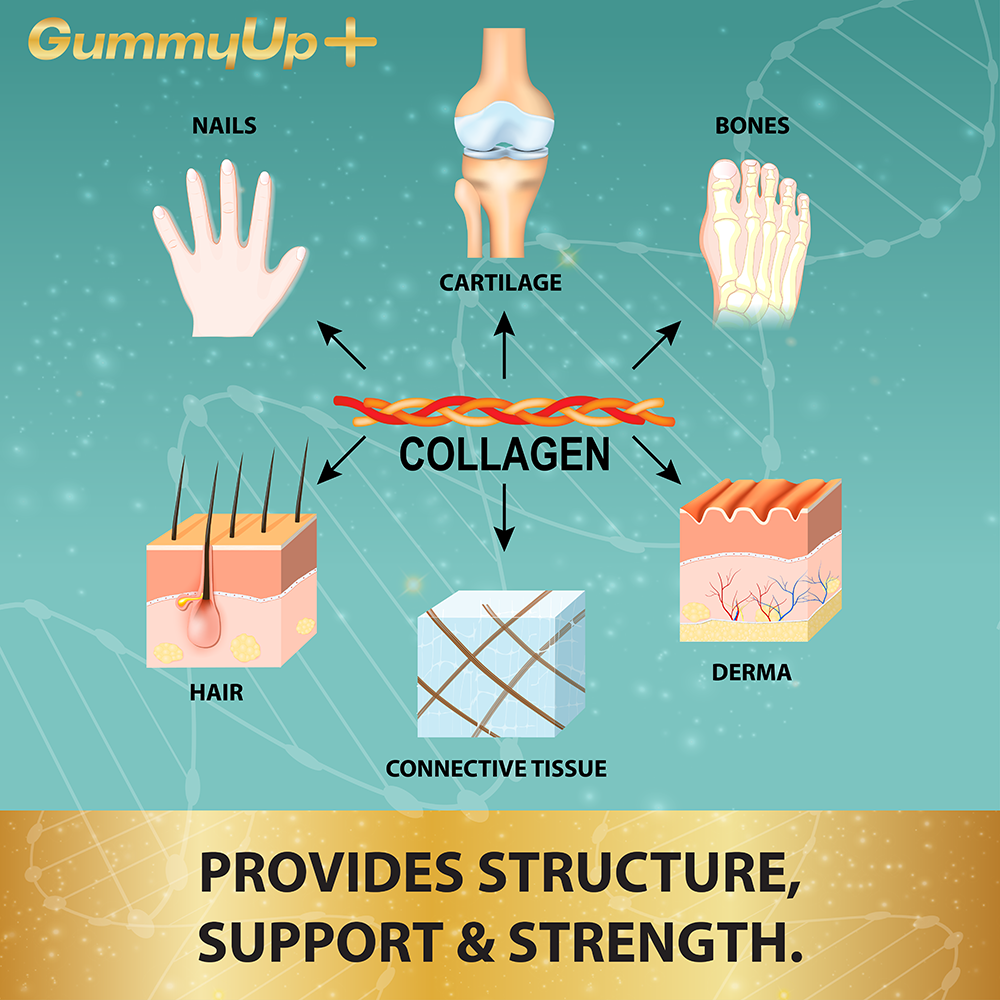 Beauty supplement collagen gummies before and after results