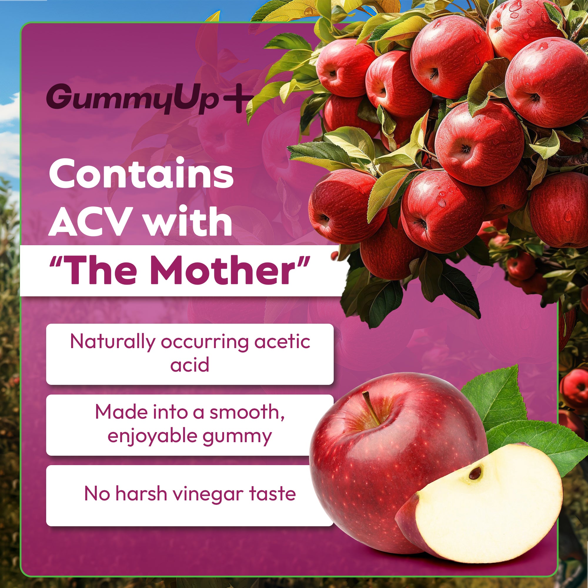 Apple Cider Vinegar Gummies